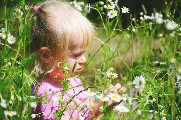 Niedliches kleines lächelndes Mädchen im Kamillenfeld — Stockfoto