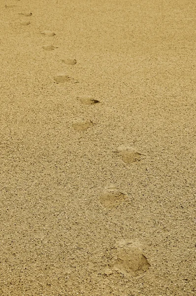 Çöl plajda kum arka plan üzerinde ayak izleri Stok Fotoğraf