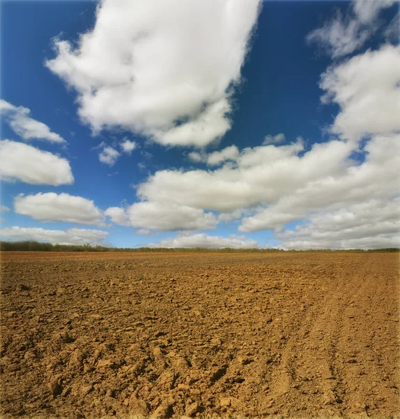 Campo de patatas en una puesta de sol bajo el cielo — Foto de Stock