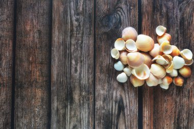 Rustik ahşap masa fotoğrafı nda deniz kabukları