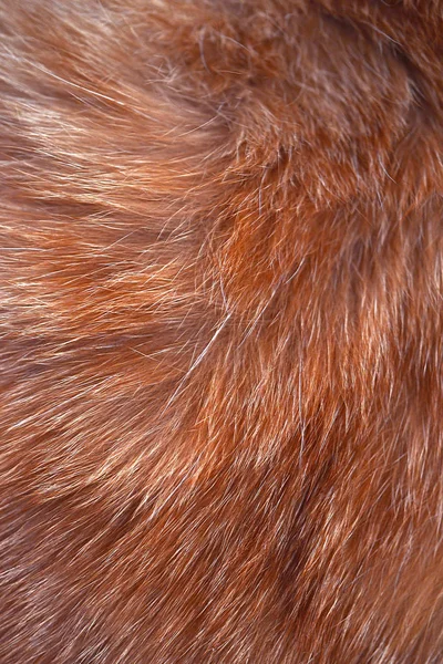 texture of wool, hair, cat skins, brown