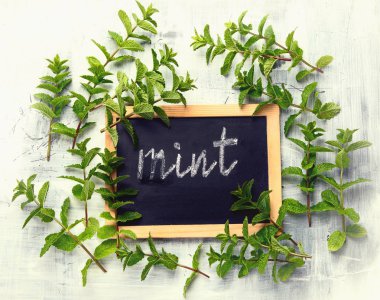 taze yeşil nane demet