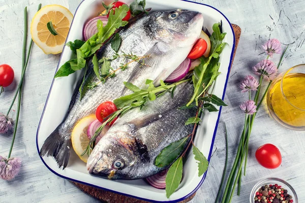 Çiğ dorado balık veya çipura. Heallthy beslenme. Üstten görünüm 