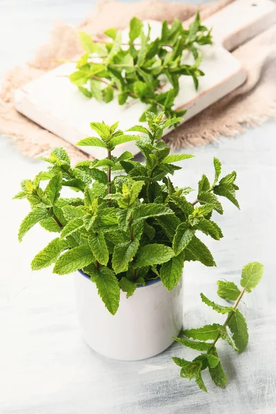 Buchet Mentă Verde Proaspătă — Fotografie, imagine de stoc