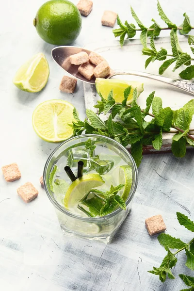 Mojito Cocktail Drink Lime Mint — Stock Photo, Image