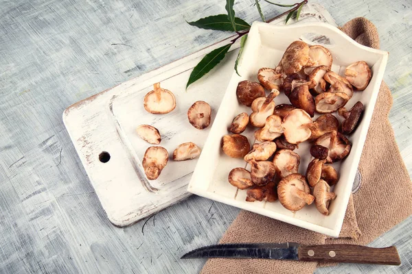 Cogumelos Shiitake Vista Superior — Fotografia de Stock