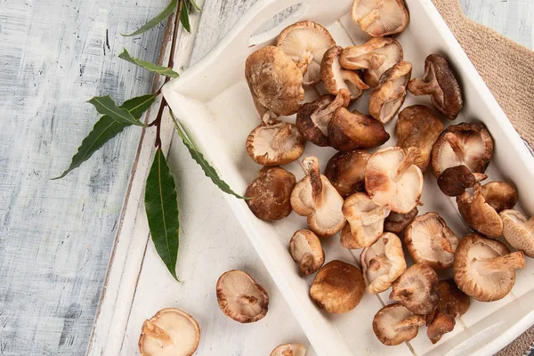 Des Champignons Shiitake Vue Dessus — Photo