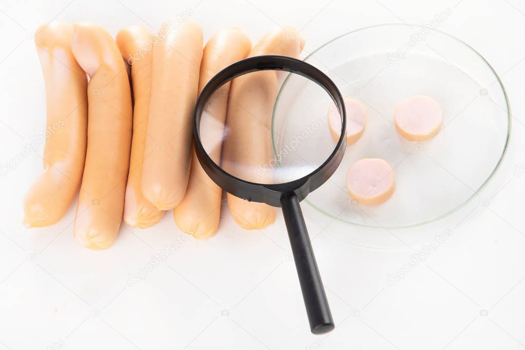 inspecting testing sausages food with magnifying glass. Genetic manipulation