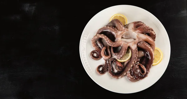 Ruwe Octopus Schaal Schelpdieren Bovenaanzicht Met Kopie Ruimte — Stockfoto