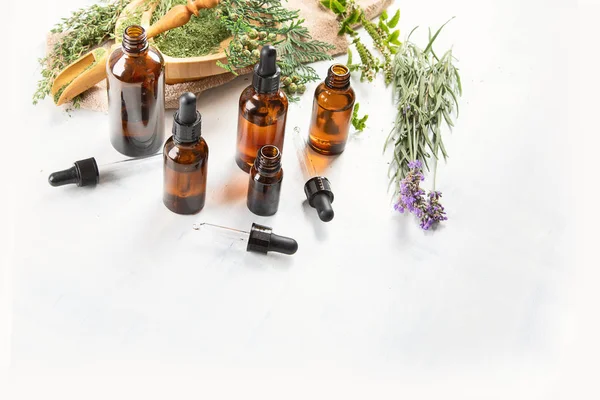 Garrafas Óleos Essenciais Medicina Herbácea Aromaterapia — Fotografia de Stock