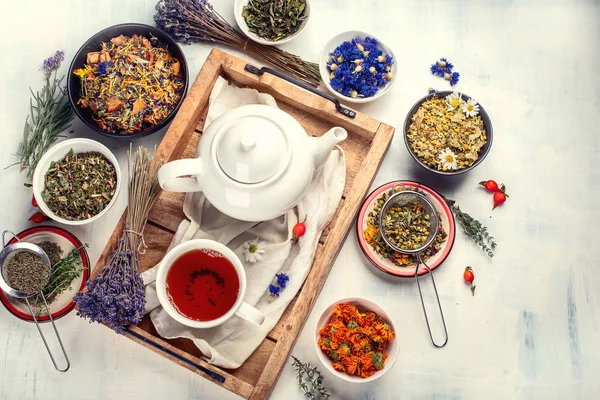 Διαφορετικοί Τύποι Βότανα Για Τσάι Λευκό Φόντο — Φωτογραφία Αρχείου