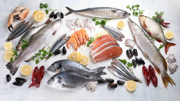 Vista Superior Una Variedad Pescados Mariscos Frescos Concepto Alimentación Saludable —  Fotos de Stock