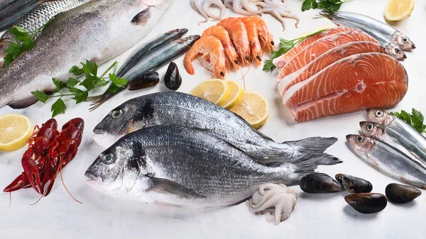 taze balık ve deniz ürünleri ürün yelpazesine. sağlıklı beslenme kavramı