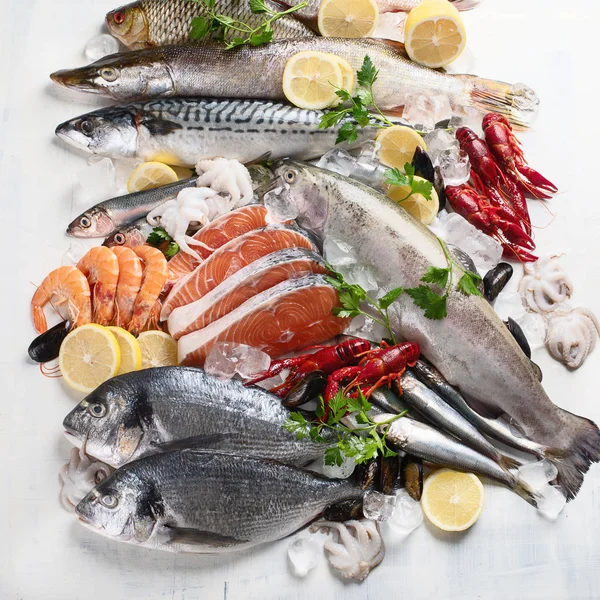 Assortiment Poissons Fruits Mer Frais Concept Saine Alimentation — Photo