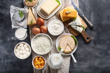 Süt ve süt ürünleri. Süt, peynir, ekşi krema, yazlık, yoğurt ve tereyağı koyu arka plan üzerinde. Kopya alanı ile üstten görünüm