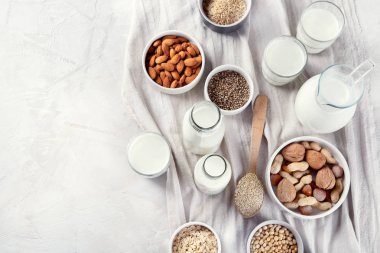 Vegan olmayan günlük süt. Süt alternatif türleri. Vegan gıda kavramı. Kopya alanı ile üstten görünüm