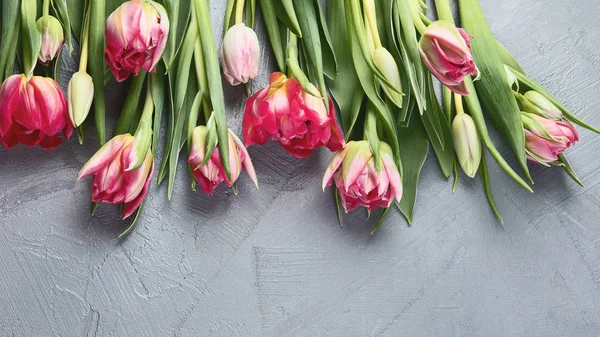 Frische Tulpenblüten Auf Grauem Tisch Ansicht Von Oben Mit Kopierraum — Stockfoto