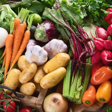 Taze sebze çeşitleri