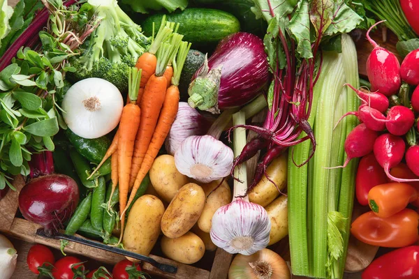 Surtido de verduras frescas — Foto de Stock