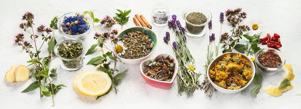 Varios tipos de té de hierbas — Foto de Stock