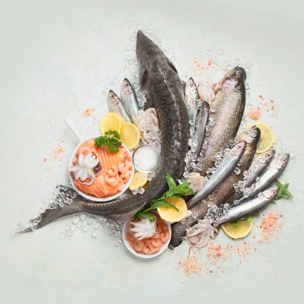 Fresh fish and seafood — Stock Photo, Image