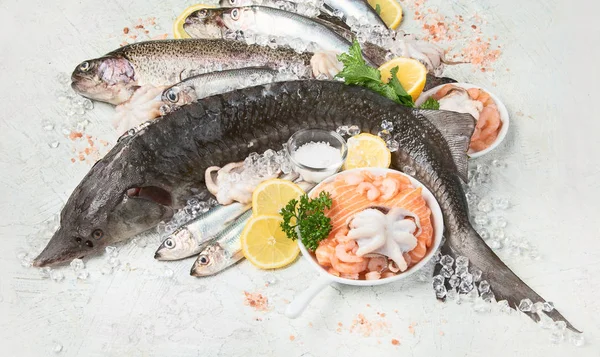 Verse vis en zeevruchten — Stockfoto