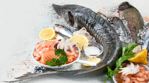 Fresh fish and seafood — Stock Photo, Image