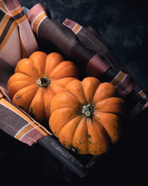 Composición otoñal con calabazas —  Fotos de Stock