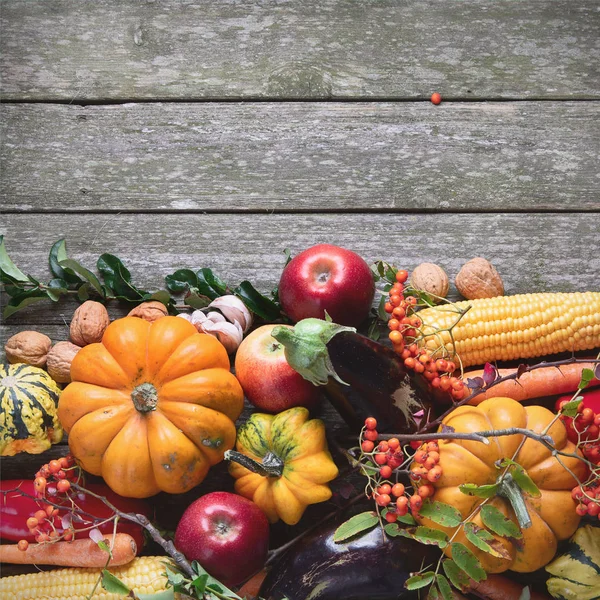 Herfst achtergrond — Stockfoto