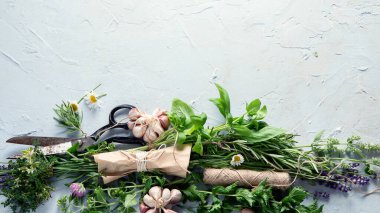 Taze yeşil bahçe bitkileri. Sağlıklı beslenme. Kopyalama alanı olan üst görünüm