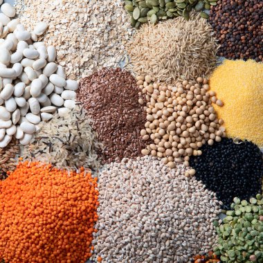 Gri arka planda çeşitli doğal tahıllar. Üst görünüm 