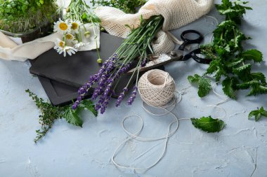 Taze yeşil bahçe bitkileri. Sağlıklı beslenme. 