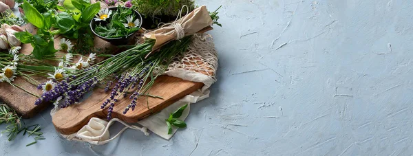 Taze yeşil bahçe bitkileri. Sağlıklı beslenme. Panorama, kopyalama alanı olan pankart