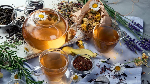 Various Kinds Tea Grey Background — Stock Photo, Image