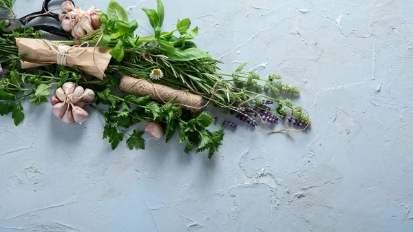 Färsk Grön Trädgård Örter Hälsosam Kost Ovanifrån Med Kopieringsutrymme — Stockfoto