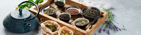 Various Kinds Tea Panorama Banner Copy Space — Stock Photo, Image