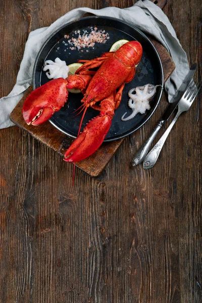 Freshly Boiled Lobster Top View Copyspac — Stock Photo, Image