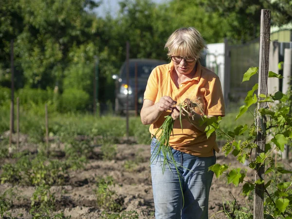 Middelbare Leeftijd Kaukasische Vrouw Met Een Gewas Van Jonge Uitjes — Stockfoto