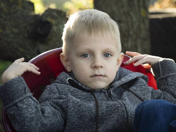 小高加索男孩坐在扶手椅在花园里 — 图库照片