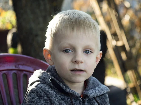 Petit Garçon Caucasien Assis Dans Fauteuil Dans Jardin — Photo