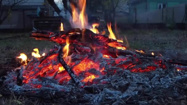 キャンプの火のたき火の炎を閉じる — ストック動画