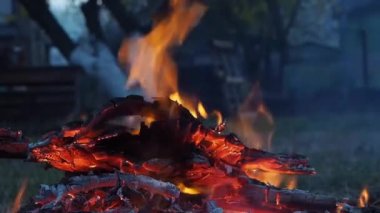 bahçede kamp yangın alevleri şenlik ateşi kapatın