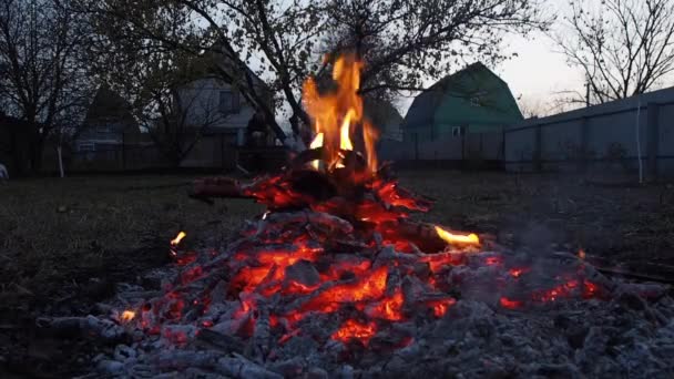 Close Bonfire Flames Camping Fire Garden — Stock Video