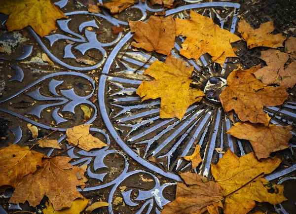 Fallen Maple Leaves Ornamented Metal Plate — Stock Photo, Image