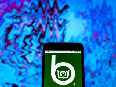 Kiev, Ukrayna - 29 Aralık 2018: W. R. Berkley Corporation sigorta şirket logosu akıllı telefon görüntülenen gördüm