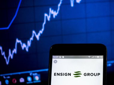 Teğmen Group, Inc logo akıllı telefon görüntülenen gördüm