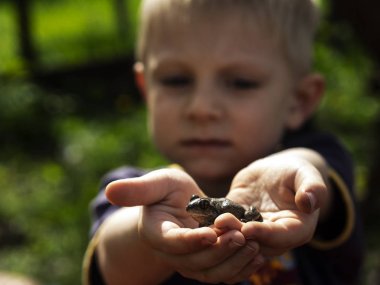 Kafkas küçük sarışın çocuk avuçlarında kurbağa tutar
