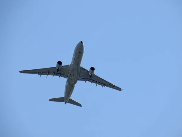 TC-JNC Türk Hava Yolları Airbus A330-203 mavi SK hava çerçevesi — Stok fotoğraf