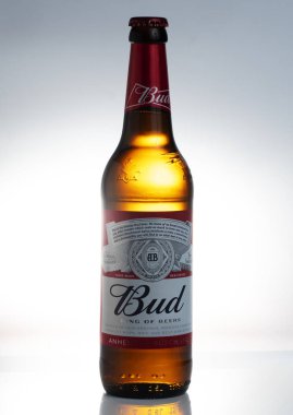 Tomurcuk bira 0,5 l şişe beyaz arka plan üzerinde izole