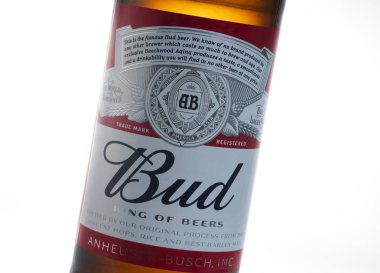 Tomurcuk bira 0,5 l şişe beyaz arka plan üzerinde izole